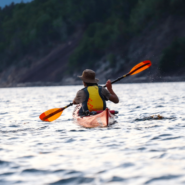 Exploration en kayak sur le Fleuve, Charlevoix, découvertes naturelles